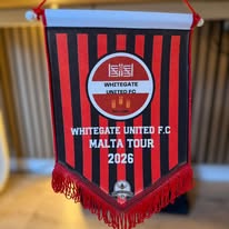 Pendant Flags